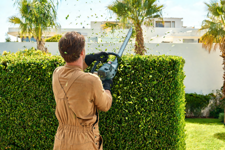 Garden and irrigation maintenance at a Mediterranean home